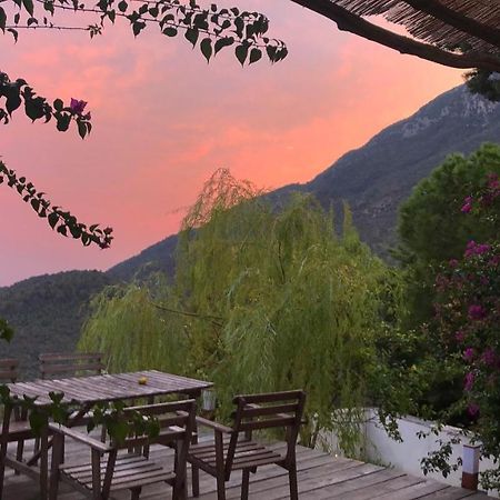 Casa Flora Bed & Breakfast Vietri sul Mare Exterior photo