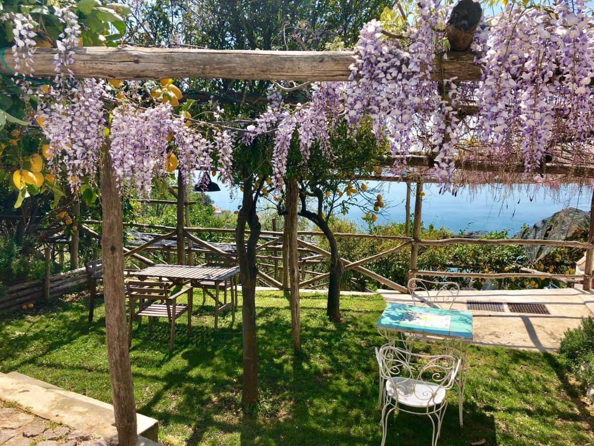 Casa Flora Bed & Breakfast Vietri sul Mare Exterior photo