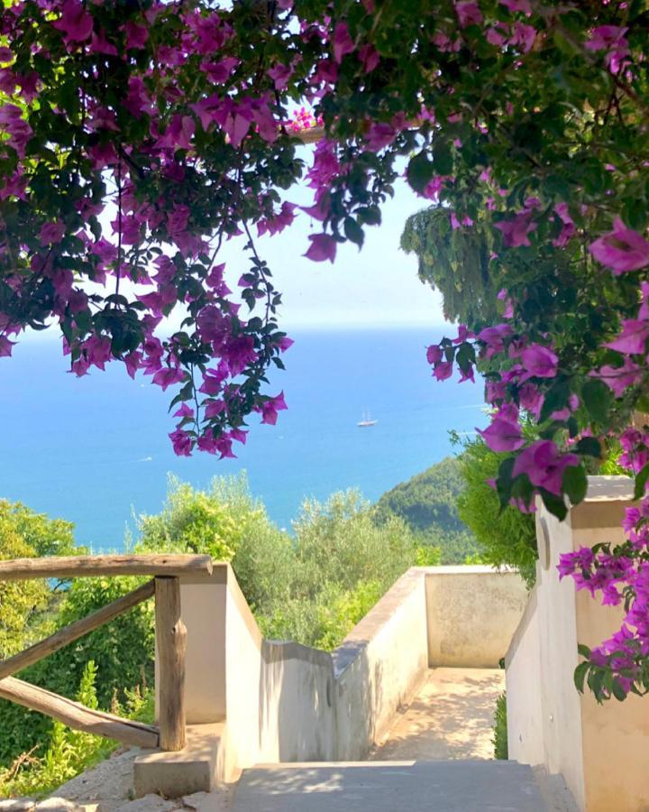 Casa Flora Bed & Breakfast Vietri sul Mare Exterior photo