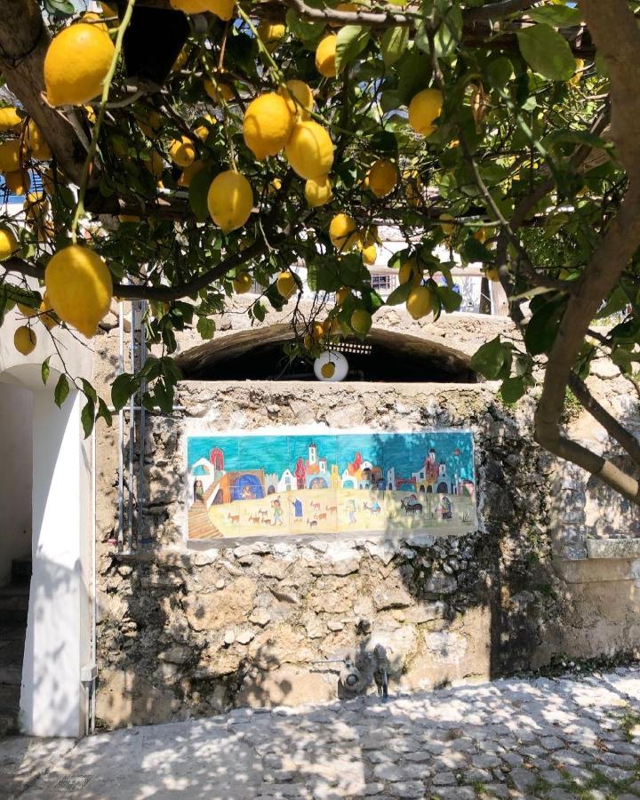 Casa Flora Bed & Breakfast Vietri sul Mare Exterior photo