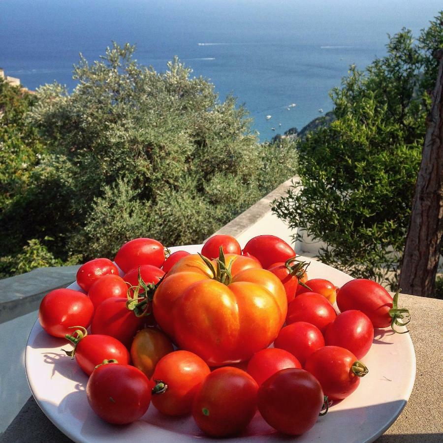 Casa Flora Bed & Breakfast Vietri sul Mare Exterior photo