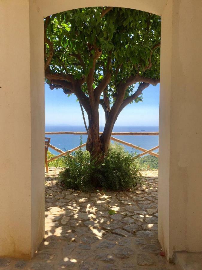 Casa Flora Bed & Breakfast Vietri sul Mare Exterior photo
